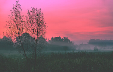 Poster - Sunrise on a meadow in an early foggy morning. rural landscape
