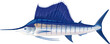 One big blue Atlantic sailfish on side view isolated illustration, realistic sea fish illustration on white background, commercial and recreational fisheries