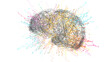 © Science RF - Human brain, illustration