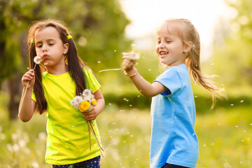 two little girls with dandelions little sister on the background of spring meadow.