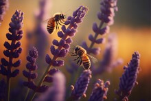 Two Bees Are Flying Around A Bunch Of Lavender Flowers In A Field Of Lavenders In The Sunlight. Generative AI