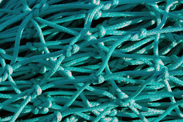 Netted in Blue