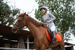 Female equestrian athlete wearing helmet riding horse in outdoor background