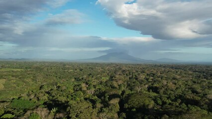 Sticker - Tropical forest with rural road aerial drone view on sunny day