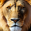 © Alguien - Stunning lion head closeup looking at camera, portrait