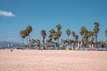 Los Angeles, USA. September 20, 2022. Scenic View Of Palm Trees Growing On Sandy Venice Beach With Blue Sky In The Background During Tropical Climate
