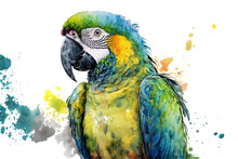 Drawing Of An Ara Parrot In Watercolor On A White Backdrop. Generative AI