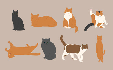 Wall Mural - cat cute 13 on a white background, vector illustration.