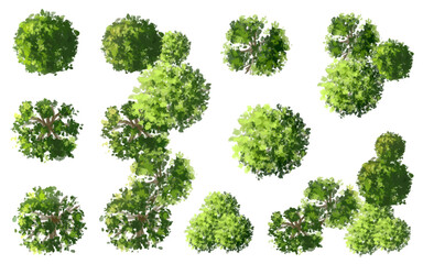 Vector watercolor of green tree top view isolated on white background for landscape layout plan and architecture drawing, elements for environment and garden,blooming botanical elements 