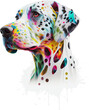Colorful dalmatian with paint splashes
