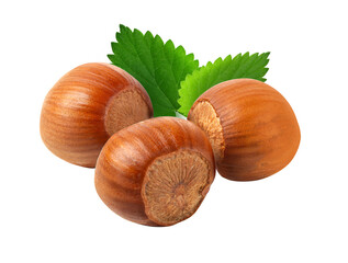 Wall Mural - Hazelnuts with leaves