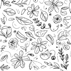 Wall Mural - Flower Sketch In Black And White, An Illustration