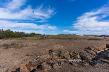 landscape in park