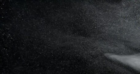 Wall Mural - Organic system of dust particles floating on black screen overlay. Filmed with RED camera in slow motion. High quality 4k footage