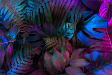 Tropical Leaves In Vibrant Gradient Holographic Neon Colors. Minimal Jungle Background. Creative Summer Punk Concept.