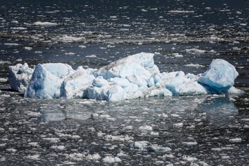 Wall Mural - Floating ice in the Enchantement Bay, Alaska