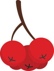 Poster - Rowan berries icon. Flat illustration of Rowan berries vector icon for web design isolated