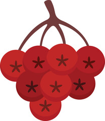 Poster - Rowan autumn berry icon. Flat illustration of Rowan autumn berry vector icon for web design isolated