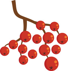 Poster - Rowan vitamin icon. Flat illustration of Rowan vitamin vector icon for web design isolated