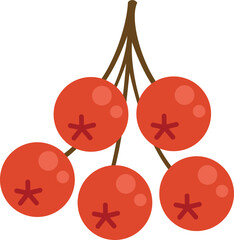 Poster - Rowan fresh berry icon. Flat illustration of Rowan fresh berry vector icon for web design isolated