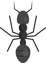 Wall Mural - Farmer ant icon. Flat illustration of Farmer ant vector icon for web design isolated