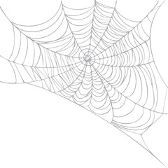 Spider web isolated on white background. Realistic hand drawn line sketch. Halloween spooky cobwebs. Outline black png illustration