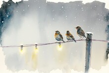 Three Little Birds And Lights
