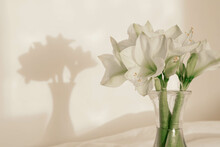 Bouquet Of Lilies In A Glass Vase In The Interior Of The Room.