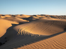 Desert Sand Dunes Glamis