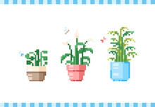 Pixel Art House Plants And Flowers Set. Collection Of 8 Bit Retro Icons Of Decorative Home Flowers In Pots. Floral Set Of Mosaic Modern Pixel Art Vector Illustrations.
