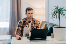 Freelancer With Dog Working On Laptop At Desk In Home
