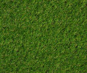 Sticker - Green grass texture background