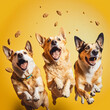 Dogs going to eat a treat or treat for dogs on a yellow background. Generative AI.