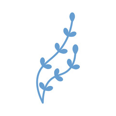 Vector blue algae in flat design. Cute water plant with leaves. Sea grass.