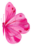 Fototapeta Motyle - Bright pink butterfly on isolated white background, acrylic painting art