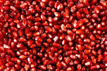Pomegranate Seeds Close Up. Red Food Background