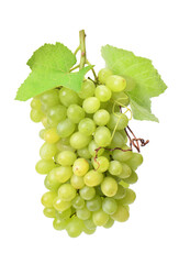 Canvas Print - Bunch of green grapes isolated