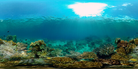 The underwater world of coral reef with fishes at diving. Coral garden under water. Coral Reef Fish Scene. Philippines. 360 panorama VR