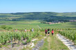 Randonnée dans le vignoble champenois dans les environs de Troissy, France, Champagne Ardennes, vallée de la marne