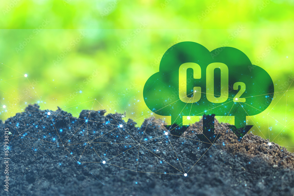 Reduction of carbon emissions, carbon neutral concept. Net zero ...