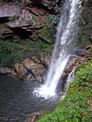 Wall Mural - Huacamaillo waterfall near Tarapoto, Peru