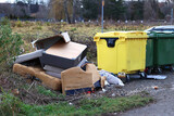 Fototapeta  - Śmietnik z dużą ilością wyrzuconych rzeczy z domu. Odpadki. 
