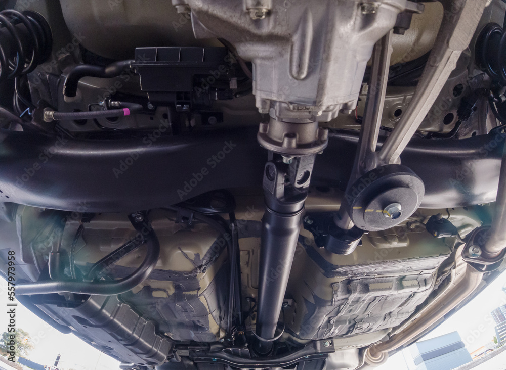 Car Rear Bottom Out Auto mechanic view of bottom of the car. Rear differential axle wide ...