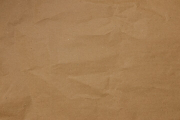 Wall Mural - brown paper craft crumpled texture background