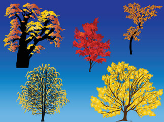 Canvas Print - five autumn trees collection on blue