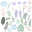© Hanna Symonovych - A set of flowers and leaves. Hand drawn vector illustrations