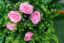 Pink Fake Rose With Green Leaves Background
