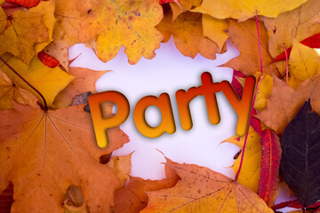 Poster - Autumn leaves, objects with Party text. Natural patterns, color design.