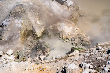 Canvas Print - Acid Springs in Sulphur Caldron Yellowstone National Park 