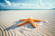 Starfish on the Beach with copy space